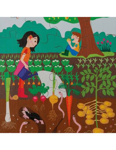 Scène du jardin, au-dessus et en dessous du sol, idéale pour l’observation et le langage