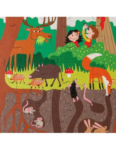 Illustration de la forêt avec animaux et végétation, vue au-dessus et en dessous du sol