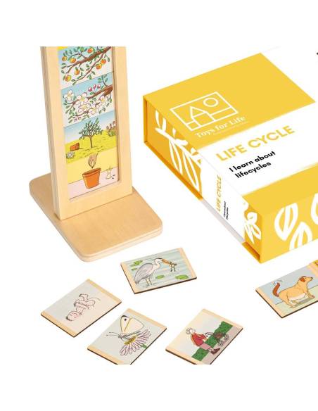 40 cartes illustrées en bois à ordonner sur un support pour comprendre les étapes de la vie