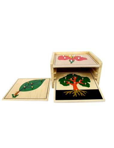 Cabinet avec puzzles Montessori botanique