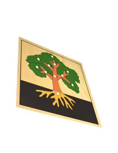 Cabinet de botanique avec 3 puzzles