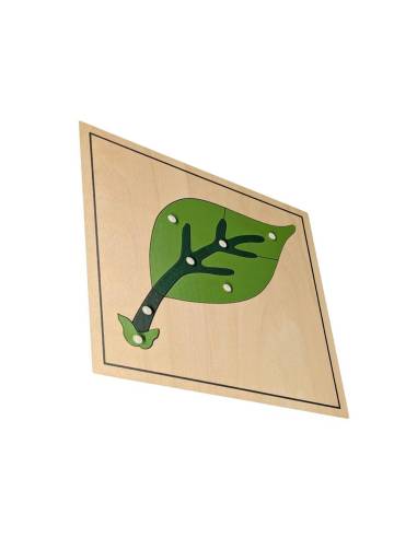 puzzle bois botanique feuille