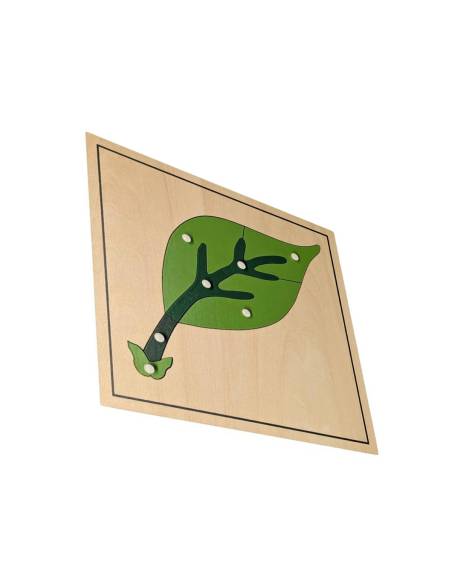 puzzle bois botanique feuille