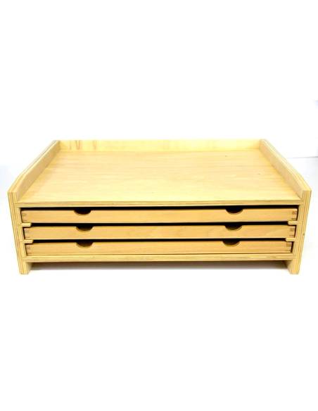 Identifier et classer les feuilles grâce à un matériel sensoriel complet