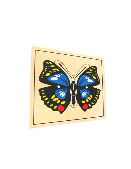 Manipuler pour comprendre l’anatomie du papillon dès 3 ans