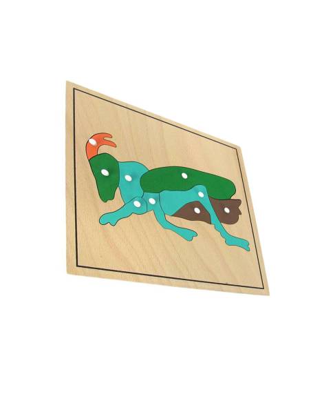 Apprendre les parties du criquet grâce à la pédagogie Montessori