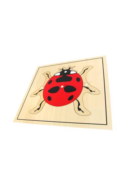Matériel Montessori pour découvrir les parties d’une coccinelle dès 3 ans