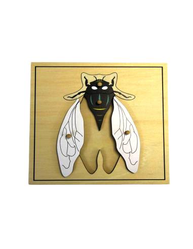 Puzzle Montessori de la mouche en bois avec pièces à bouton dès 3 ans