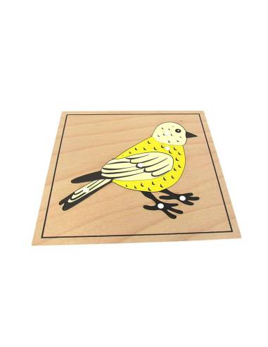 Un outil Montessori pour explorer l’anatomie des oiseaux dès 3 ans