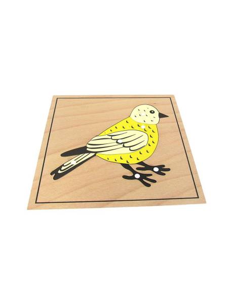 Un outil Montessori pour explorer l’anatomie des oiseaux dès 3 ans