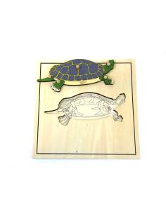Puzzle éducatif Montessori représentant une tortue et son squelette 2