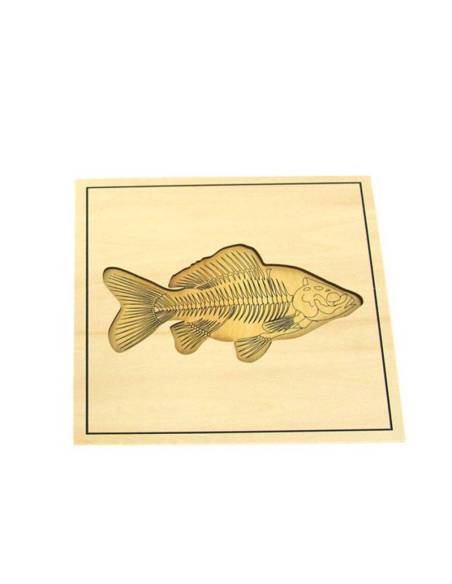 Un puzzle en bois pour apprendre l’anatomie animale de manière sensorielle
