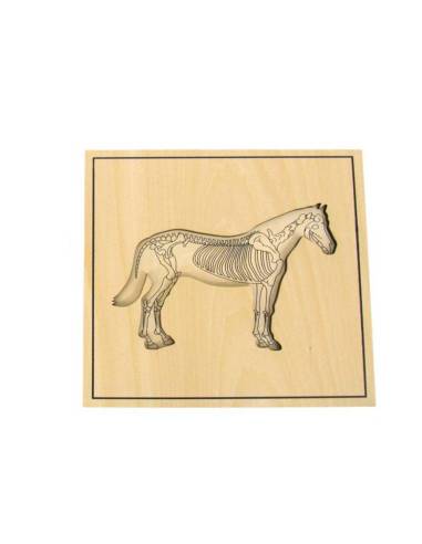 Apprendre l’anatomie du cheval avec un puzzle en bois adapté aux enfants