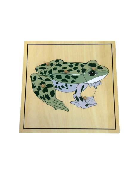 Puzzle éducatif Montessori représentant la grenouille et son squelette