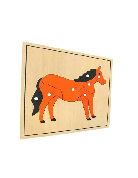 Ensemble Montessori zoologie avec 5 puzzles d’animaux à manipuler