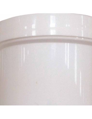 Ensemble de 10 petits pots en plastique de 70 ml avec couvercles, parfaits pour la peinture, la colle et les ateliers créatifs