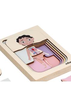 Puzzle éducatif à couches du corps humain version garçon 2