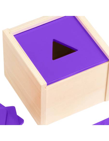 Matériel Montessori – Boîte à formes évolutive en bois