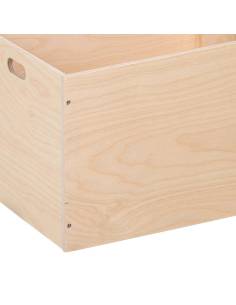 Grand coffre de rangement en bois massif 2