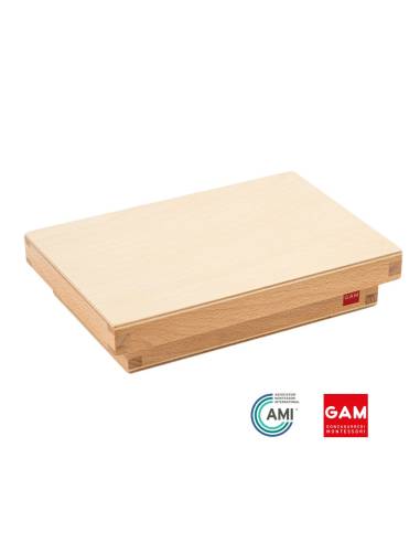 Les 12 triangles constructeurs bleus - GAM Montessori - 1MM041