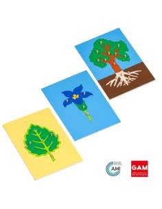 Ensemble de 3 puzzles de botanique (arbre, feuille, fleur) - GAM Montessori - 1MM212B