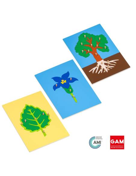 Ensemble de 3 puzzles de botanique (arbre, feuille, fleur) - GAM Montessori - 1MM212B