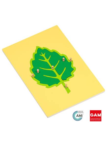 Puzzle de botanique la feuille - GAM Montessori - 1MM212B