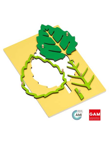 Puzzle de botanique la feuille - GAM Montessori - 1MM212B