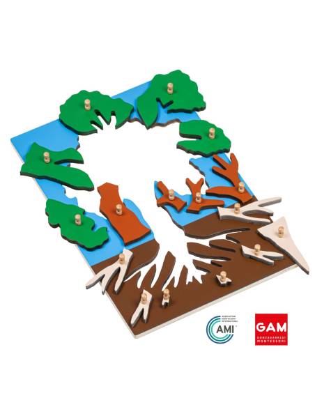 Puzzle de botanique l'arbre - GAM Montessori - 1MM212B