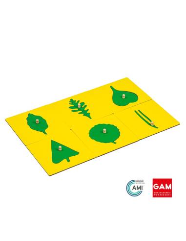24 Formes du cabinet de botanique - GAM Montessori - 1MM210