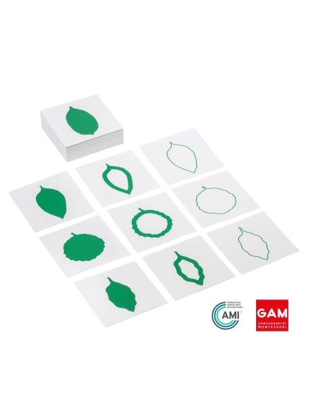 Cartes des formes de feuilles - GAM Montessori - 1MM211