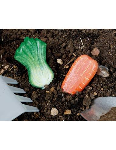 Légumes sensoriel en pierre - Yellow Doord - YD1135 pour jeu libre, imitation et langage.