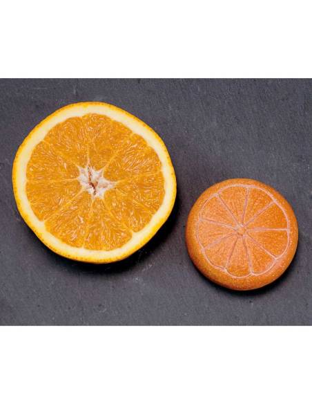 Fruits sensoriels en pierre - yellow door - YD1134 pour jeu libre, imitation et langage.