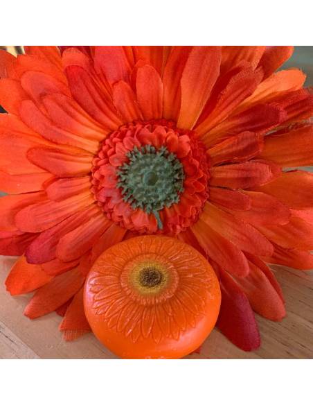 Pierres sensorielles en pierre – Les Fleurs - Yellow Door - YD1189 - pour pate à modeler, pour observation, tri et jeu libre.