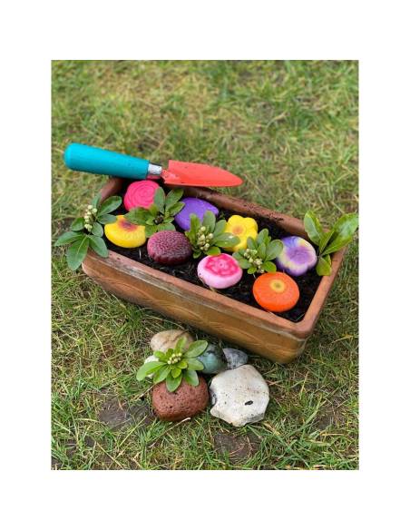 Pierres sensorielles en pierre – Les Fleurs - Yellow Door - YD1189  - pour pate à modeler, pour observation, tri et jeu libre.