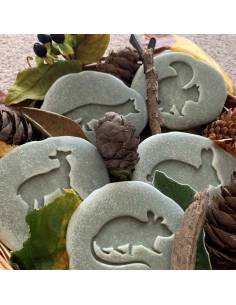 Galets tactiles pour identifier les animaux forestiers - Empruntes animaux de la forêt - Yellow Door - YD1072 2