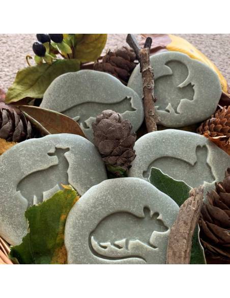 Galets tactiles pour identifier les animaux forestiers - Empruntes animaux de la forêt - Yellow Door - YD1072