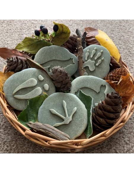 Galets tactiles pour identifier les animaux forestiers - Empruntes animaux de la forêt - Yellow Door - YD1072