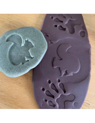 Galets tactiles pour identifier les animaux forestiers - Empruntes animaux de la forêt - Yellow Door - YD1072