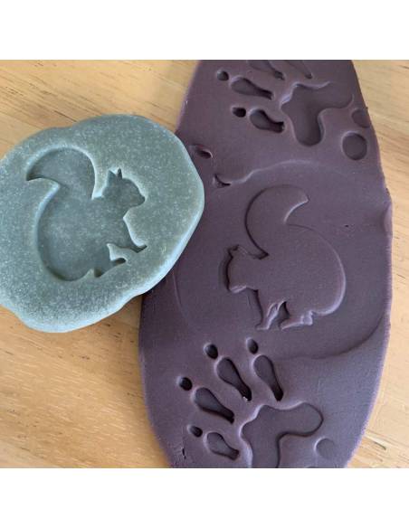 Galets tactiles pour identifier les animaux forestiers - Empruntes animaux de la forêt - Yellow Door - YD1072