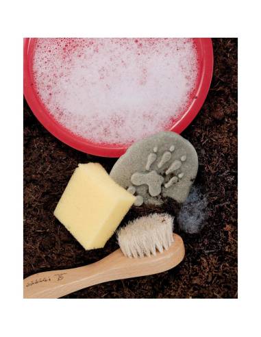 Galets tactiles pour identifier les animaux forestiers - Empruntes animaux de la forêt - Yellow Door - YD1072