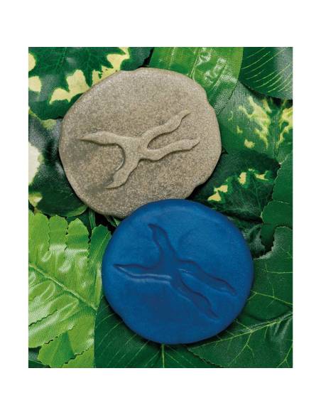 Galets tactiles pour identifier les animaux forestiers - Empruntes animaux de la forêt - Yellow Door - YD1072