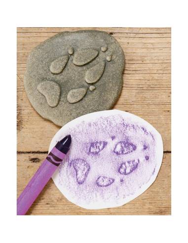 Galets tactiles pour identifier les animaux forestiers - Empruntes animaux de la forêt - Yellow Door - YD1072