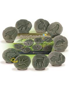 Galets tactiles pour identifier les animaux forestiers - Empruntes animaux de la forêt - Yellow Door - YD1072