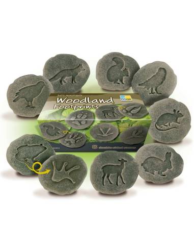 Galets tactiles pour identifier les animaux forestiers - Empruntes animaux de la forêt - Yellow Door - YD1072