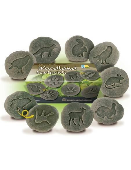 Galets tactiles pour identifier les animaux forestiers - Empruntes animaux de la forêt - Yellow Door - YD1072