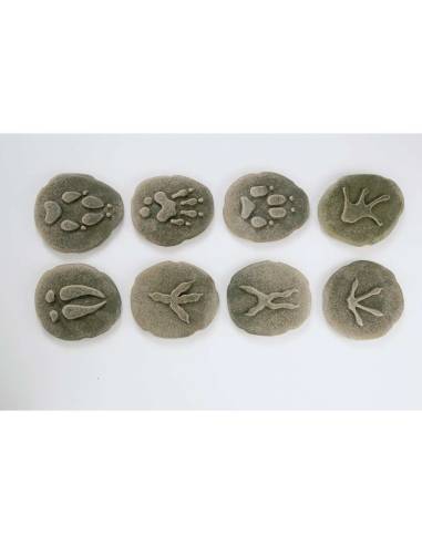 Galets tactiles pour identifier les animaux forestiers - Empruntes animaux de la forêt - Yellow Door - YD1072