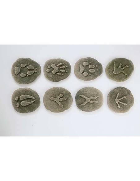 Galets tactiles pour identifier les animaux forestiers - Empruntes animaux de la forêt - Yellow Door - YD1072