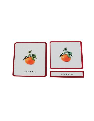 Mini-Mondy : Fruits et Légumes - Montessori Edition - Coffret Montessori pour vocabulaire des fruits et légumes.