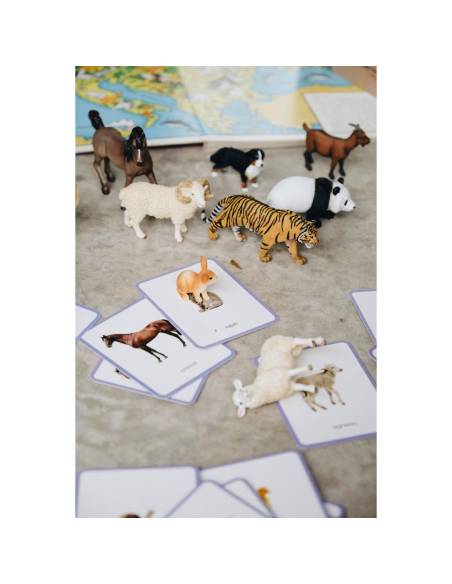 Mini-Mondy Animaux – Observe Éditions – Coffret vocabulaire pour découvrir les animaux dès 2 ans.